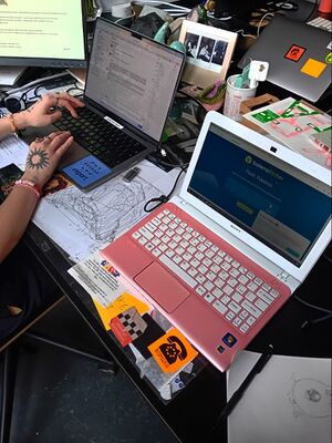 sevgi setting up her pc for a linux install