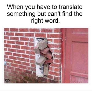 36064649 1867233446669269 3062189992739602432 n.jpg