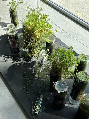 The Electric Garden at iMAL
