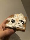 IMG 7643.jpeg