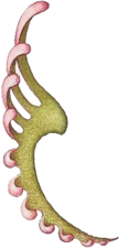 Banner4.png