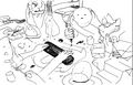 IMG 7273.jpeg