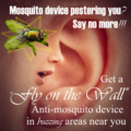 Advertisement fly on the wall.png