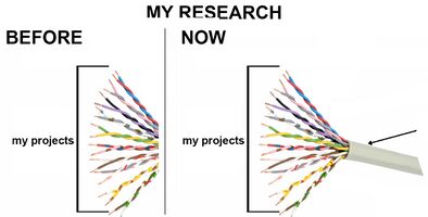 Ihyb.jpg