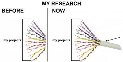 Ihyb.jpg