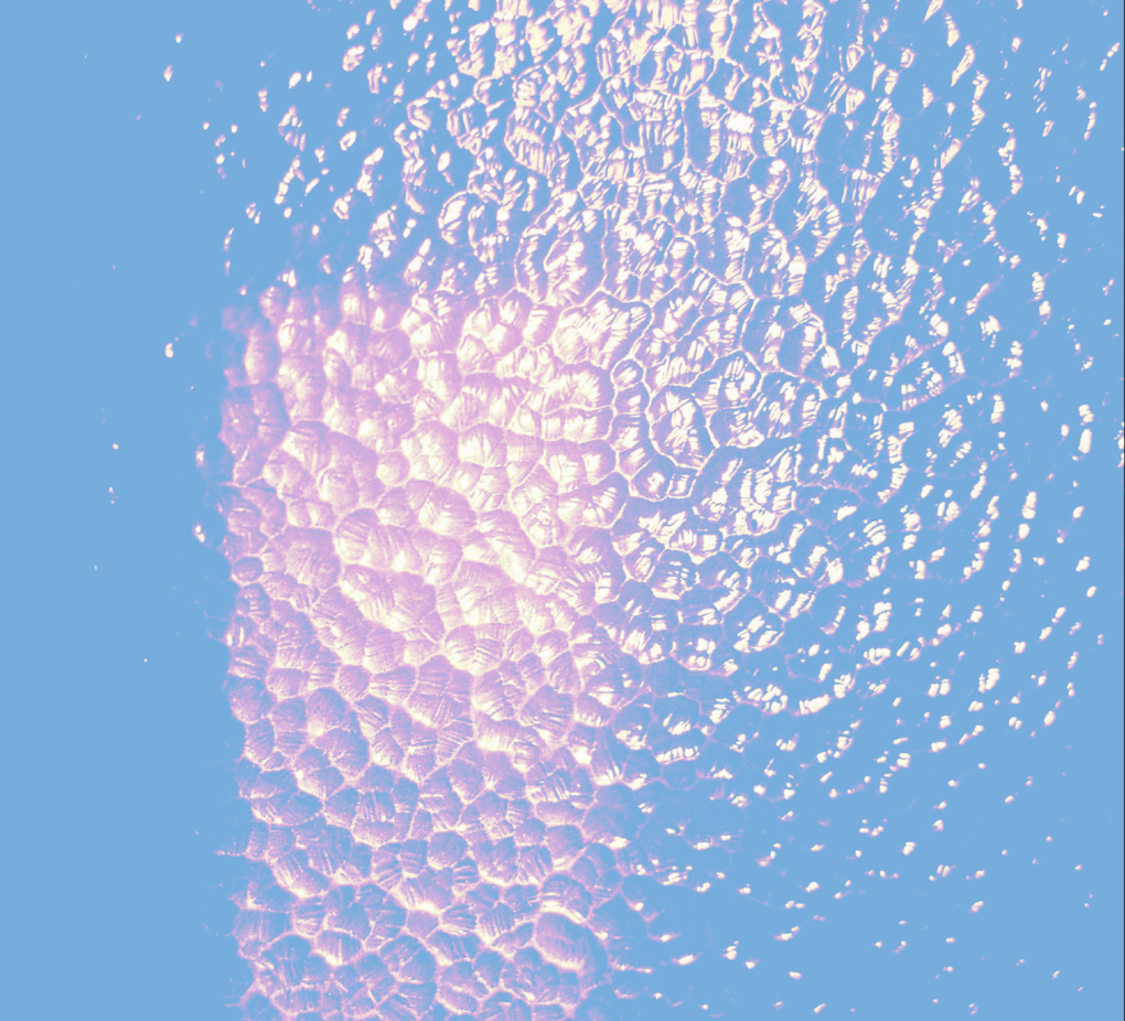 Background-01.png