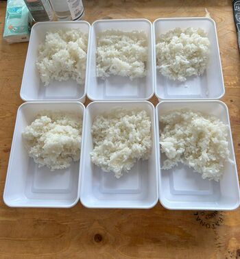 Rice.jpg