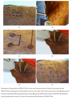 Kombucha-circuit.png