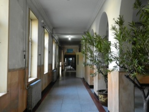 61458146.jpg