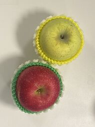 Sinano Gold(top) and Fuji apple(bottom)