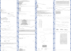 Si21-zine.png