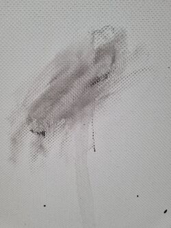 Unattractive black stain .jpg