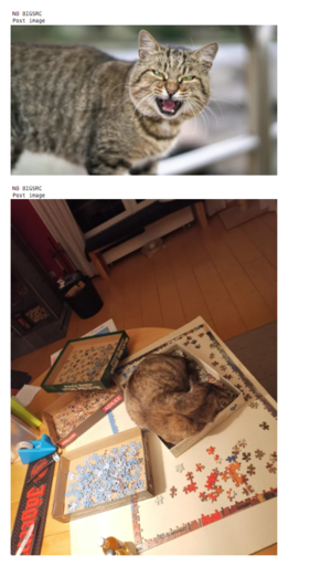 Soupboat-scraping-images.png