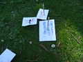 DSC00727.JPG