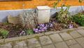 Perfect garden .jpg