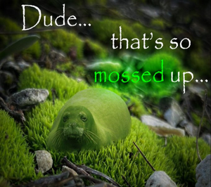 Mossedup.png