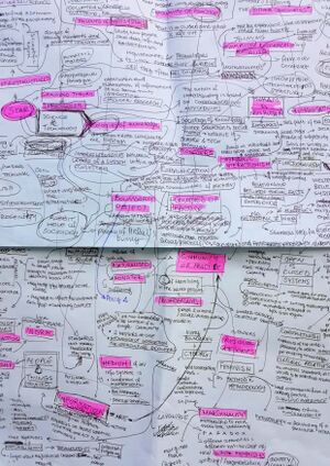 mindmapping