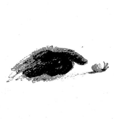 12o snail.jpg
