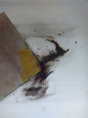 Polaroid negative