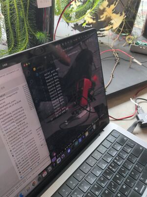 IMal6.jpg