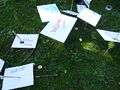 DSC00720.JPG