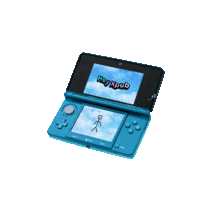 Flipp3DS.gif